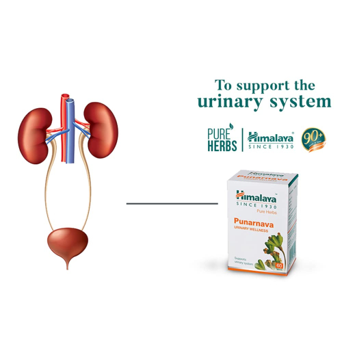 Himalaya Punarnava Tablets | 60 Tablets | Natural Diuretic & Kidney Health