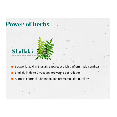 Himalaya Shallaki | Pain and Inflammation Relief | Bone and Joint Wellness | 60 Tablets