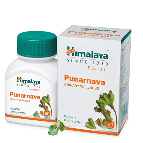 Himalaya Wellness Neem | 60 Tablets | Pure Herbs for Skin Wellness 