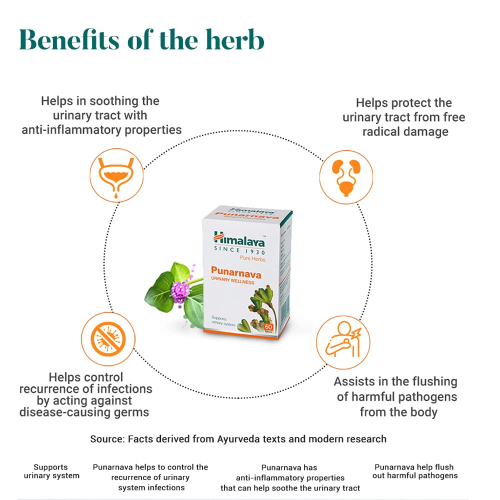 Himalaya Wellness Neem | 60 Tablets | Pure Herbs for Skin Wellness 