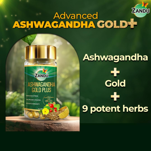 Zandu Ashwagandha Gold Plus | 60 Caps